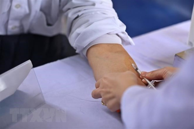 今年上半年越南结核病病例数达4.8万例 ảnh 1