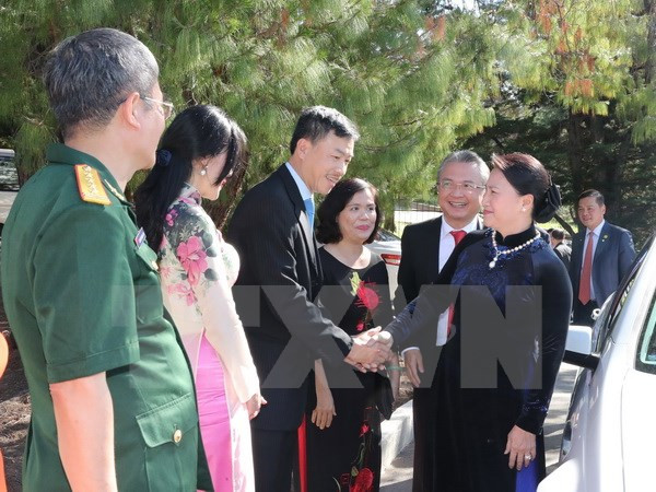 阮氏金银会见越南驻澳大使馆工作人员与旅澳越南人代表 ảnh 1 阮氏金银会见越南驻澳大使馆工作人员与旅澳越南人代表 ảnh 1
