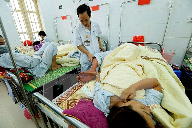 河内市登革热疫区数量仍为97个 ảnh 1 河内市登革热疫区数量仍为97个 ảnh 1