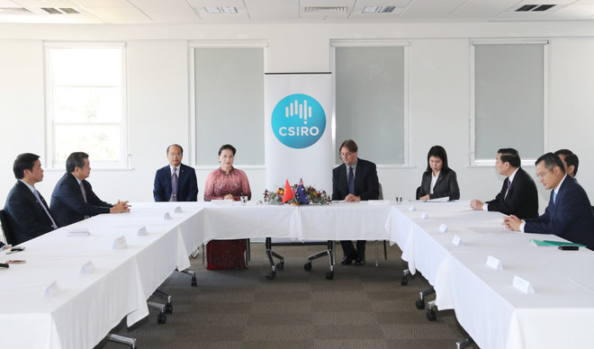 阮氏金银造访澳大利亚部分研究中心 ảnh 1 阮氏金银造访澳大利亚部分研究中心 ảnh 1