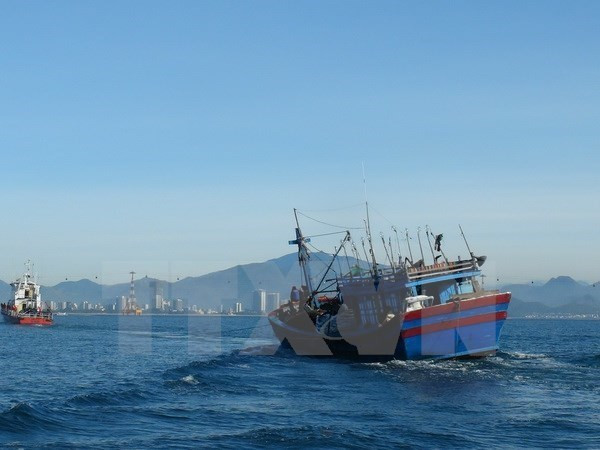 抓紧开展头顿海域失踪人员搜救活动 ảnh 1