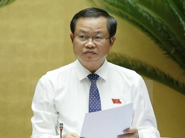 越南国会高级代表团对南非进行工作访问 ảnh 1