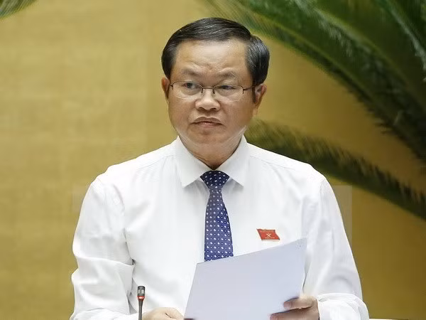 越南国会高级代表团对南非进行工作访问 ảnh 1