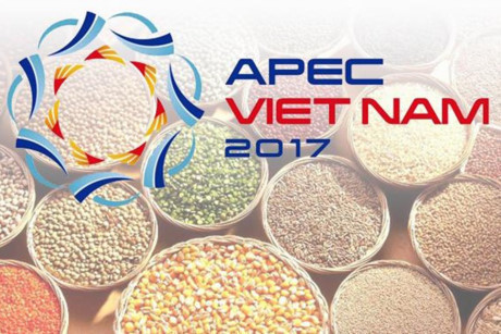 越南继续推动实施2017年亚太经合组织系列会议的优先内容 ảnh 1 越南继续推动实施2017年亚太经合组织系列会议的优先内容 ảnh 1