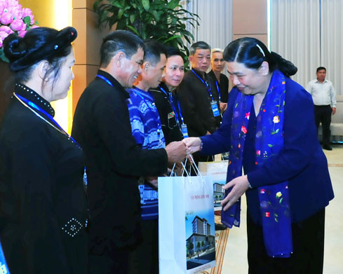 国会副主席丛氏放会见太原省模范少数民族代表 ảnh 1  国会副主席丛氏放会见太原省模范少数民族代表 ảnh 1