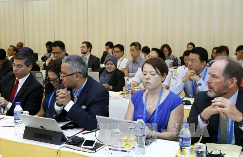 2017年APEC标准一致化分委会良好法规规范第十次会议在胡志明市举行 ảnh 2 2017年APEC标准一致化分委会良好法规规范第十次会议在胡志明市举行 ảnh 2