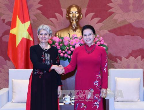 国会主席阮氏金银会见联合国教科文组织总干事伊琳娜•博科娃 ảnh 1