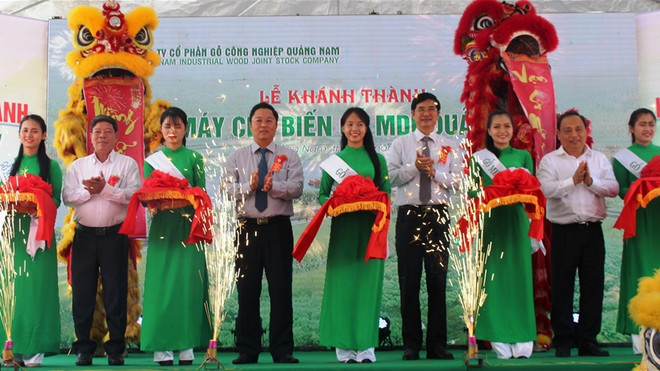 越南中部与西源地区最大木材加工厂正式投运 ảnh 1 越南中部与西源地区最大木材加工厂正式投运 ảnh 1