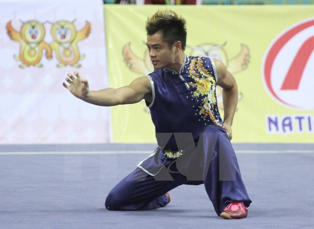 第29届东运会：越南武术队继续夺得两银一铜 ảnh 1