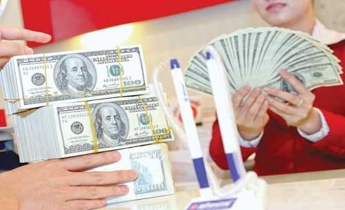 28日越盾兑美元中心汇率下跌3越盾 ảnh 1 28日越盾兑美元中心汇率下跌3越盾 ảnh 1