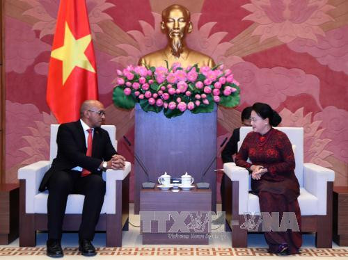 越南国会主席阮氏金银会见古巴驻越大使和莫桑比克总检察长 ảnh 1 越南国会主席阮氏金银会见古巴驻越大使和莫桑比克总检察长 ảnh 1