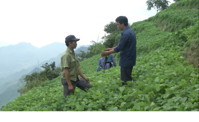 越中边境村屯缔结友好关系 富裕村屯和睦边境 ảnh 2 越中边境村屯缔结友好关系 富裕村屯和睦边境 ảnh 2