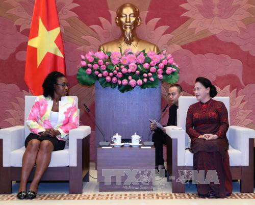 越南国会主席阮氏金银会见古巴驻越大使和莫桑比克总检察长 ảnh 2 越南国会主席阮氏金银会见古巴驻越大使和莫桑比克总检察长 ảnh 2