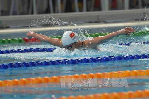 第29届东运会：阮氏映圆摘得第七枚金牌 ảnh 1