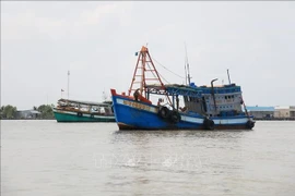 越南海警第二区强化执法与宣传 严厉打击IUU捕捞。图自越通社