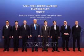 越南国家主席梁强与APEC领导人合影。图自越通社