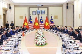 越南政府总理范明政与马来西亚总理易卜拉欣举行会谈。图自越通社