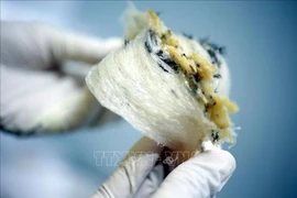共有13家越南企业获准向中国市场出口燕窝，累计出口精制燕窝超4吨、出口额逾400万美元。图自越通社