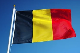 比利时国旗。图自越通社