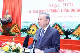 苏林总书记发言。图自越通社