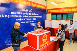 第十六届国会代表和2026-2031年任期各级人民议会代表选举的准备工作正在同步开展。图自越通社