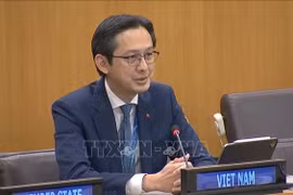 越南常驻联合国代表团团长、2026年《不扩散核武器条约》审议大会指定主席杜雄越大使发言。图自越通社
