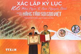 使用米粉和粉丝制作100道美食的纪录认证活动。图自越通社
