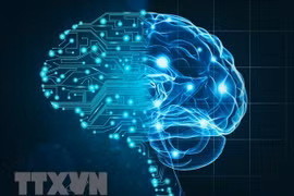 越南力争到2030年跻身东南亚人工智能研发前三强。图自越通社
