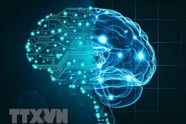 越南力争到2030年跻身东南亚人工智能研发前三强。图自越通社