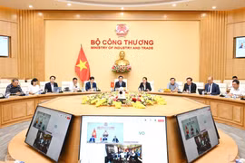 越南与美国双边对等贸易协议部长级谈判以线上形式举行。图自越通社