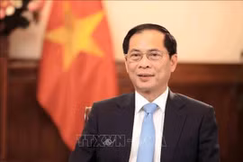 越南政府副总理兼外交部长裴青山。图自越通社
