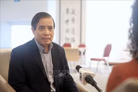 新加坡李光耀公共政策学院教授武明姜。图自越通社