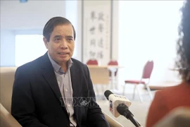 新加坡李光耀公共政策学院教授武明姜。图自越通社
