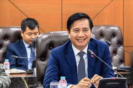 越南驻马来西亚大使丁玉玲。图自越通社
