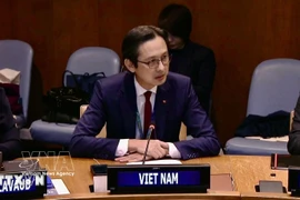 越南常驻联合国代表团团长杜雄越大使。图自越通社