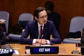 越南常驻联合国代表团团长杜雄越大使。图自越通社