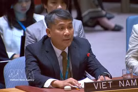 越南外交部常务副部长阮明羽在辩论会上发言。图自越通社