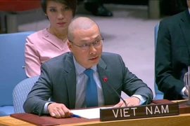 越南常驻联合国代表团副团长阮黄原公使。图自越通社