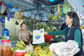附图 图自越通社