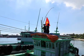 下大决心向IUU捕捞行为"宣战"。图自越通社