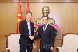 中央政策战略部部长陈流光会见AES（越南）公司董事长。图自越通社