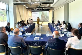 工作会议现场。图自越通社