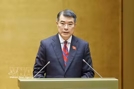 政府总理黎明兴发表讲话。图自越通社