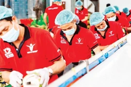 Vina T&T公司正在加工椰子。图自人民报