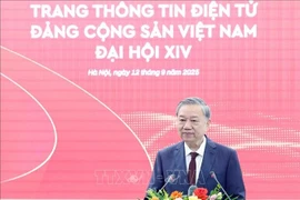 苏林总书记发言。图自越通社