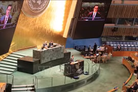 越南常驻联合国代表邓黄江大使在会议上发表讲话时。图自越通社