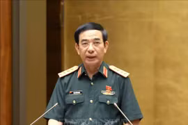 完善越南参加联合国维和行动的法律框架