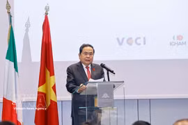 越南国会主席陈青敏在促进越意合作政策座谈会上发言。图自越通社