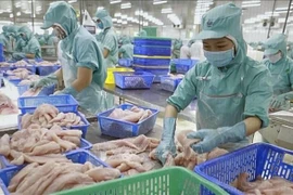越南水产品在新加坡市场巩固地位，市场份额占有率超10%。图自越通社