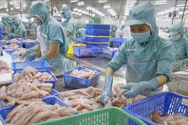 越南水产品在新加坡市场巩固地位，市场份额占有率超10%。图自越通社